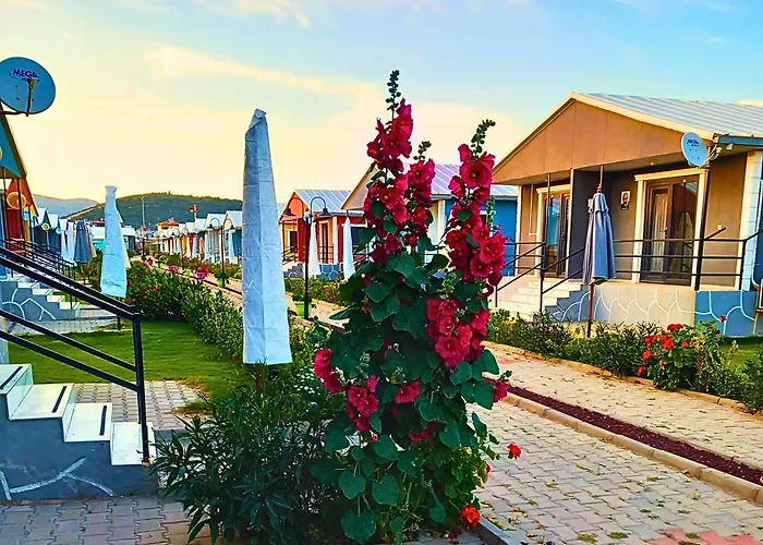 Happy Life * Ürkmez